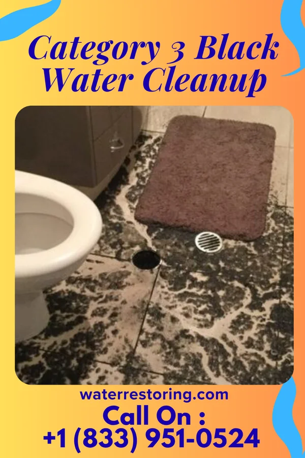 Category 3 Black Water Cleanup in Northlake, SC