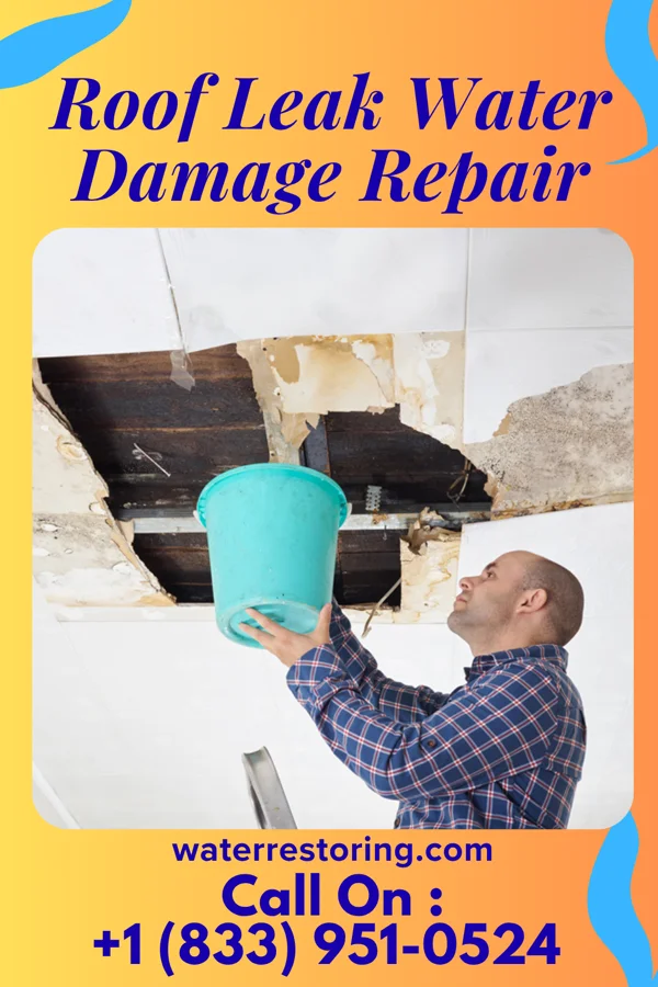 Roof Leak Water Damage Repair in Northlake, SC
